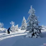 Apartma Butterfly Apartment *