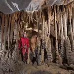 Apartment Apartma Butterfly