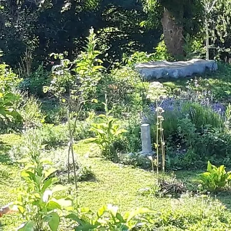 Апартаменты Apartma Butterfly Шкофья-Лока