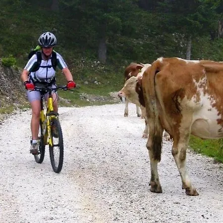 Apartma Butterfly Апартаменты Шкофья-Лока